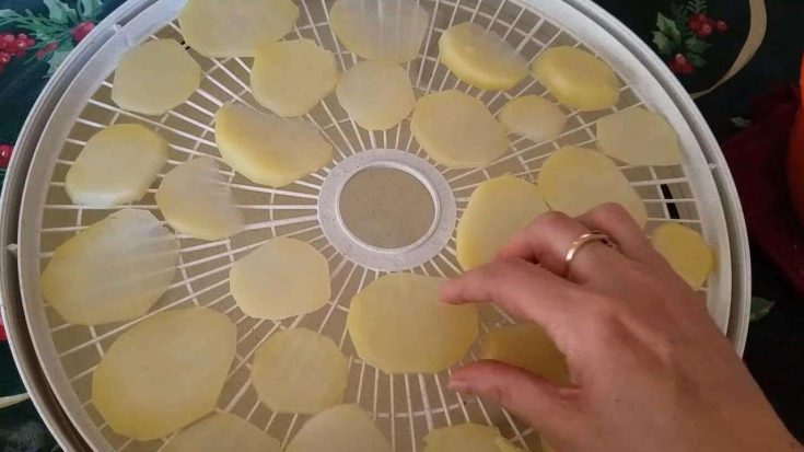 how to dehydrate potatoes
