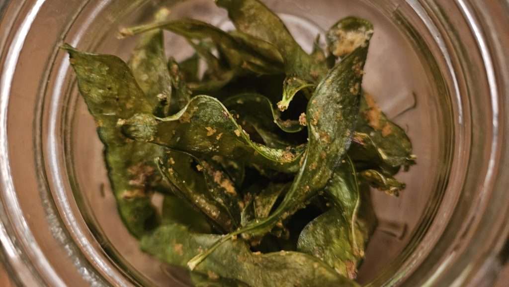 dehydrated snap peas in a mason jar