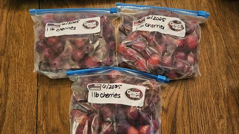 bags of frozen cherries ready to go into the freezer. Freezing is one of the easiest ways to preserve cherries.