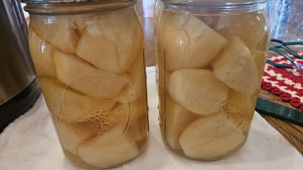 Canning is a great way to preserve potatoes. The potatoes in this canning jar are russet potatoes. 