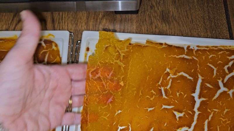 Light shining through a thin dehydrated pumpkin sheet held by hand.