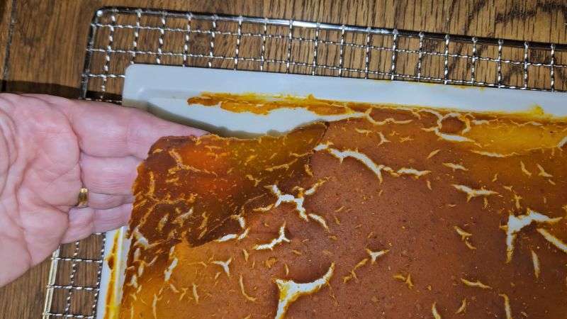 A partially dehydrated, thicker piece of pumpkin puree that is still moist.