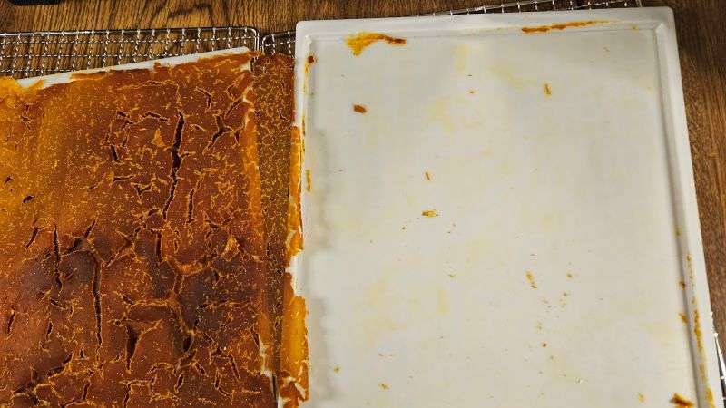 Empty dehydrator tray next to a partially dehydrated sheet of pumpkin.