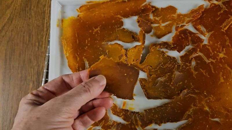 Hand holding a thicker piece of partially dehydrated pumpkin.