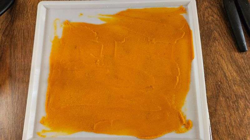 Thin layer of pumpkin puree spread on a dehydrator tray.