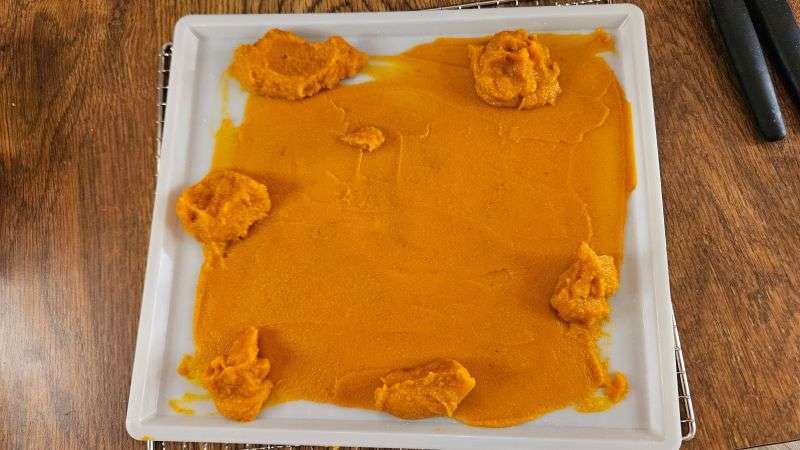 Additional blobs of pumpkin puree added to the edges of a dehydrator tray.