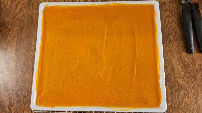 A fruit leather dehydrator tray filled with a thick, even layer of pumpkin puree.