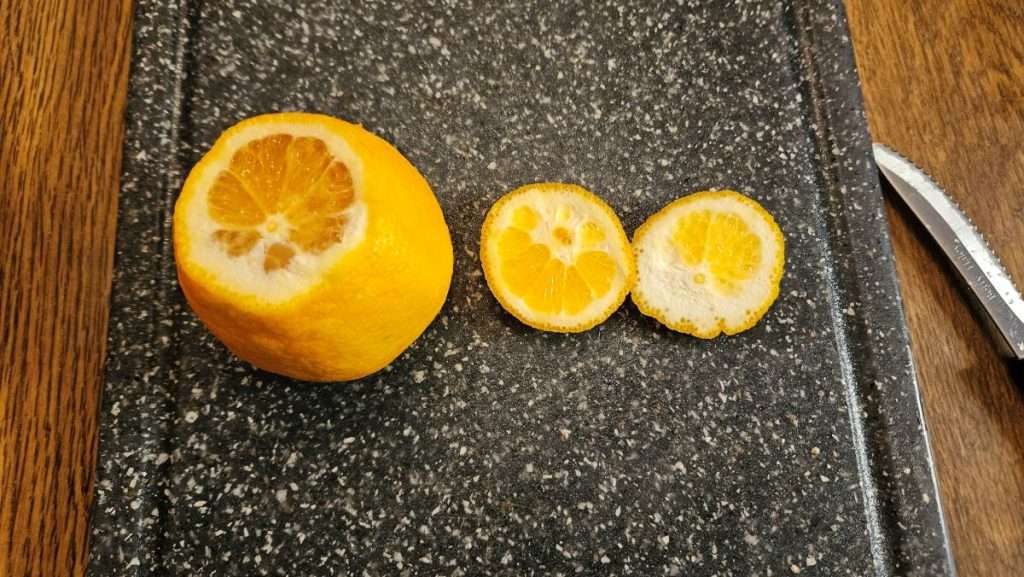 Orange with the top and bottom sliced off as the first step in freezing oranges