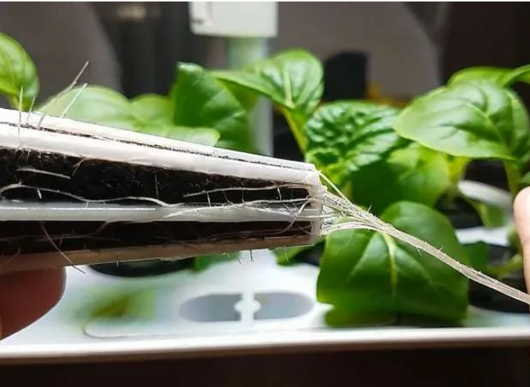 AeroGarden Grow Sponge Alternatives