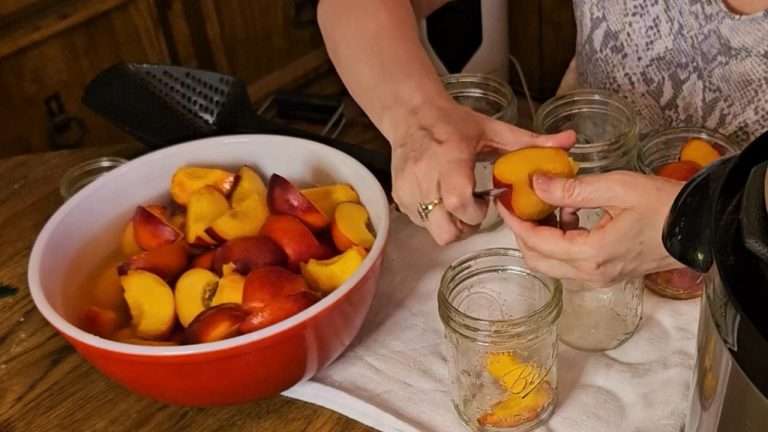 cutting up nectarines for canning in the Nesco canner