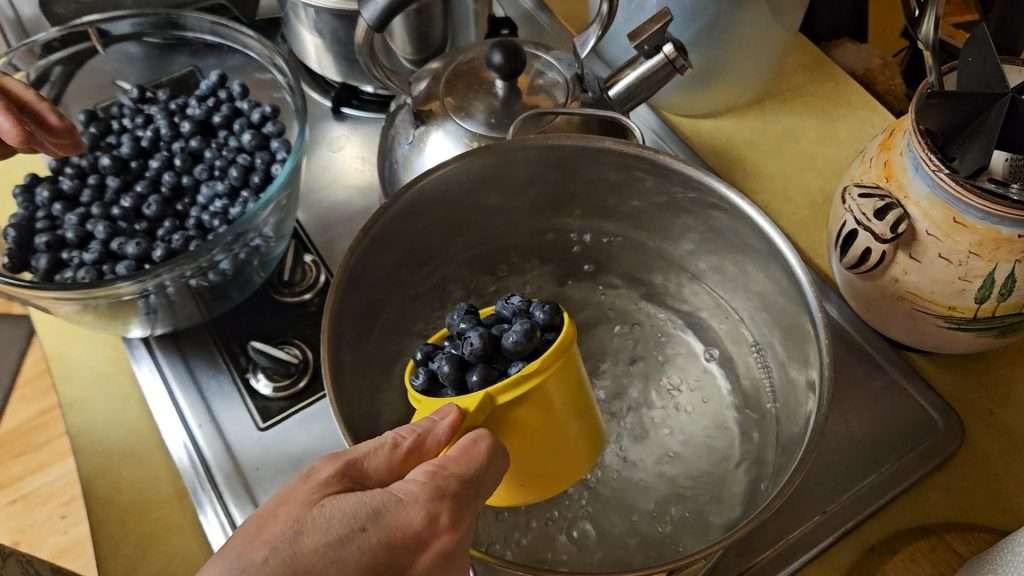 Adding blueberries to boiling water for canning blueberries using the hot pack method.