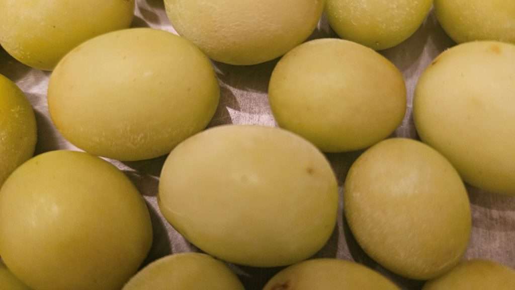 grapes that have been flash frozen, sitting on a baking sheet.