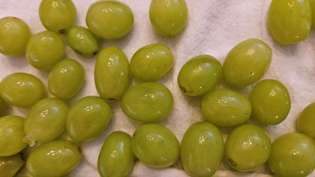 Close up of grapes that have been washed on a flour sack towel.