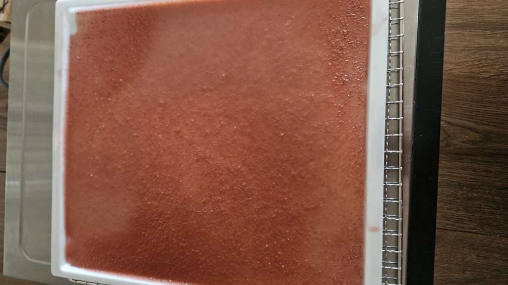 Grape fruit leather after 3 hours in the dehydrator.