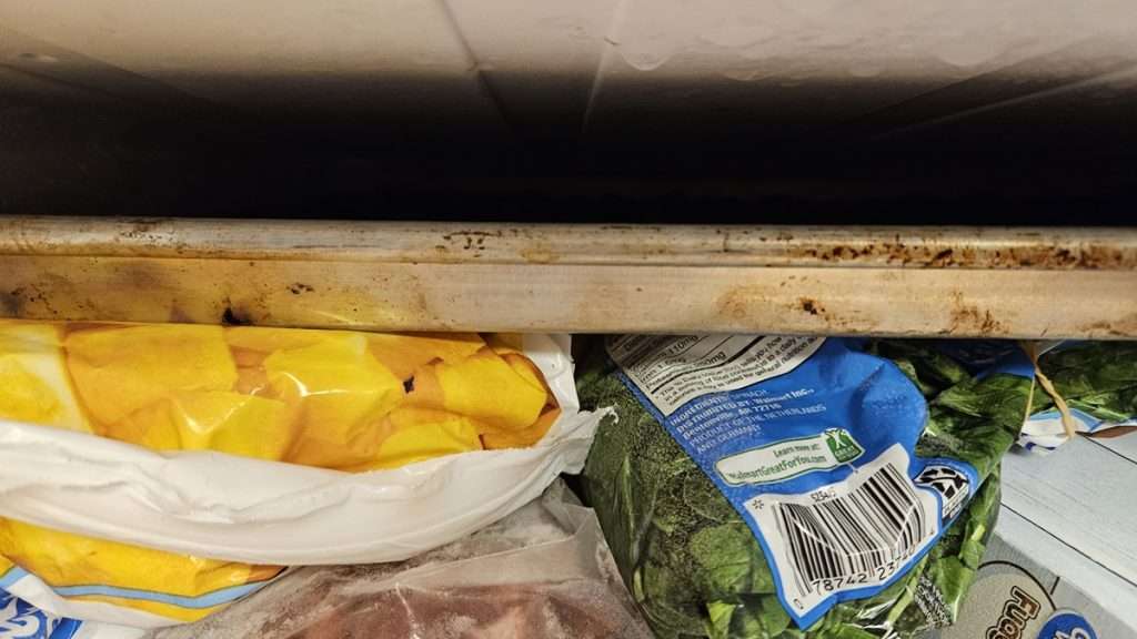 rimmed baking sheet filled with blueberries in the freezer.