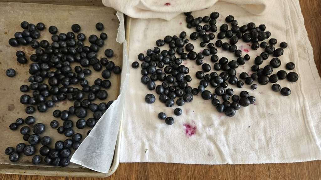 washed blueberries on a flour sack towel, next to a baking sheet with blueberries