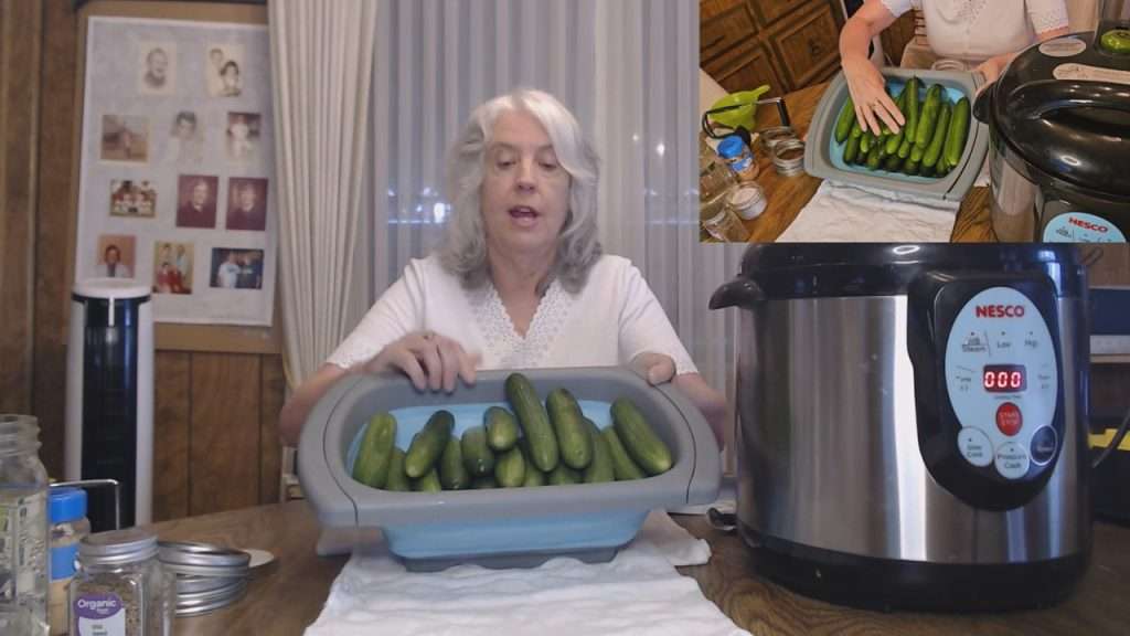 4 pounds of mini cucumbers for making dill pickles.