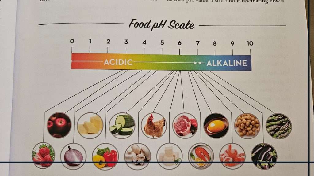 This food pH scale image is a good example of the attractive graphics in the book, The Canning Diva Presents Meals in a Jar.