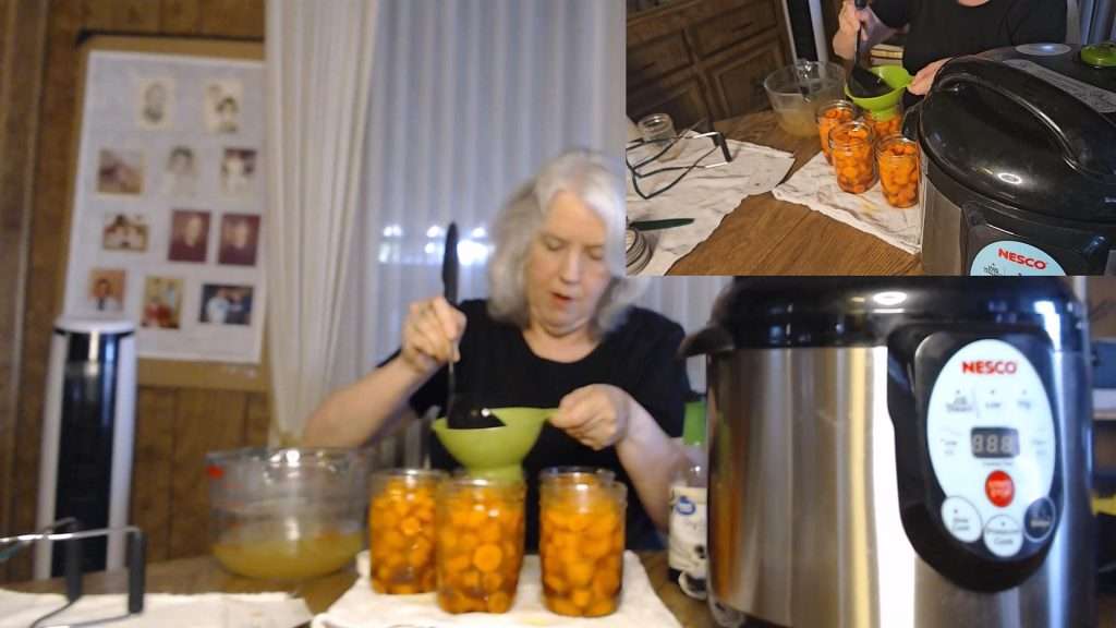 adding hot chicken broth to honey ginger carrots