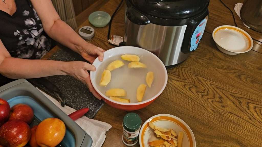 a small amount of apples in a bowl filled with water and fresh fruit produce protector