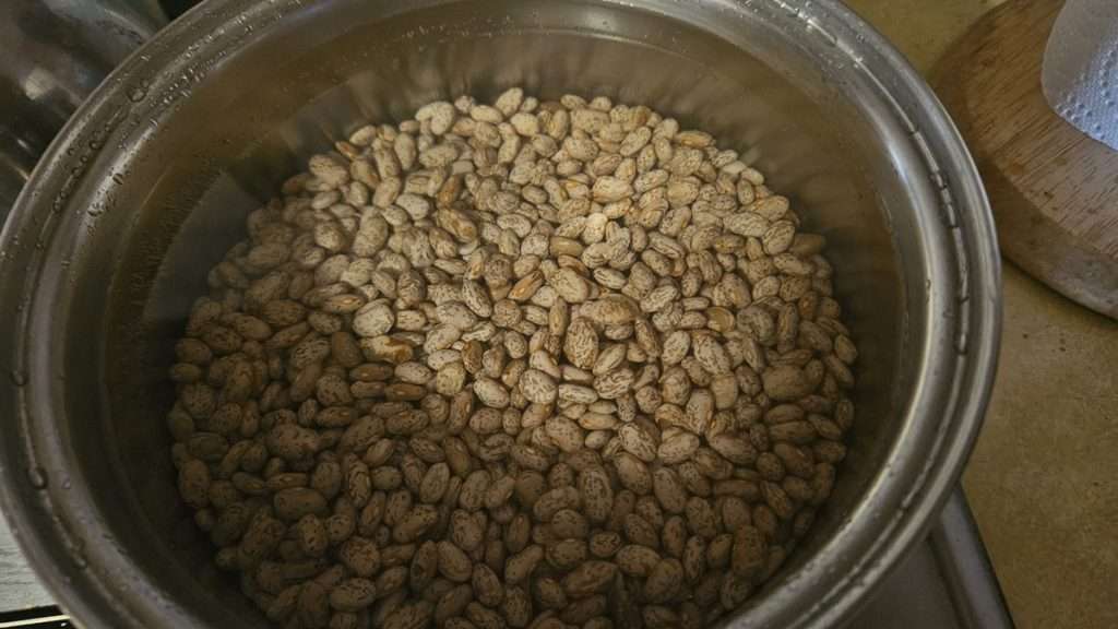 dry pinto beans in a pot of water. Boiling the soaked pinto beans for 30 minutes is an important part in preparing them for canning.
