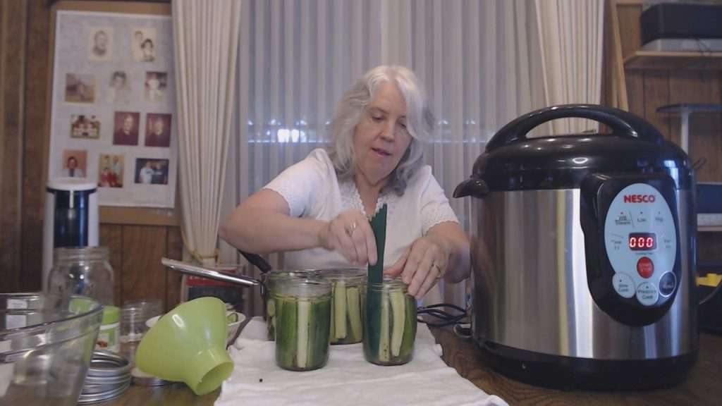 Debubbling a jar of dill pickle spears before canning.