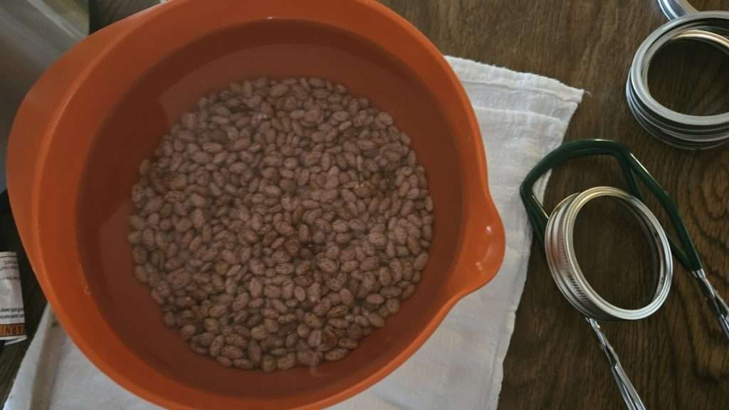 Dry pinto beans soaking in water. 