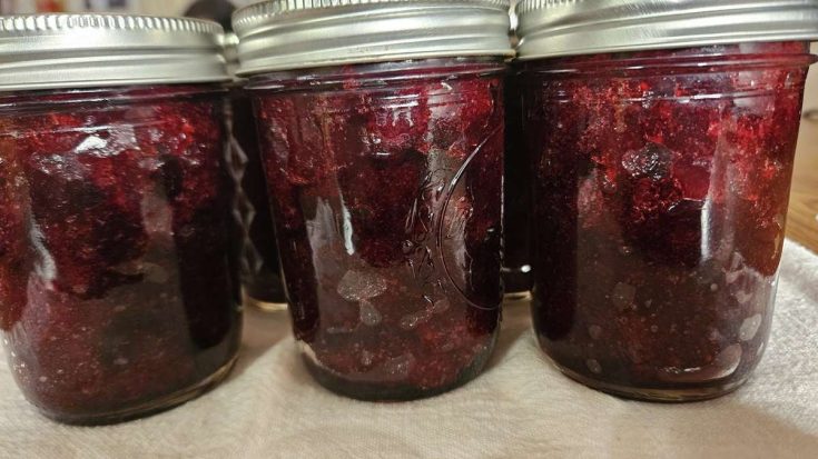 jars of home canned cranberry sauce