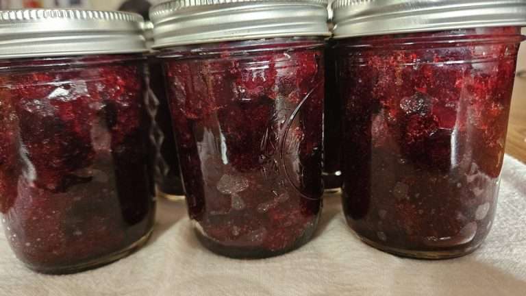 jars of home canned cranberry sauce