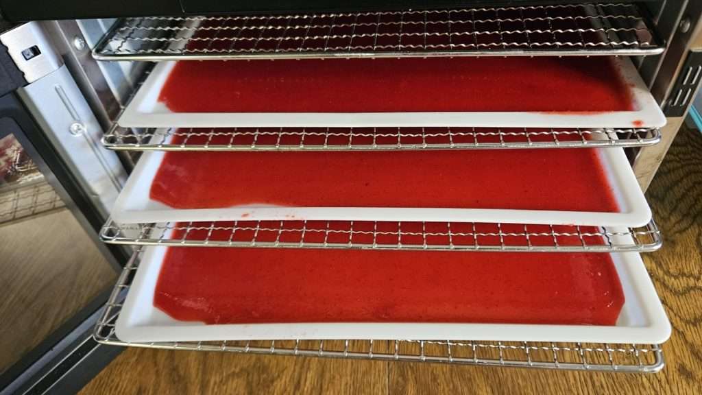 Cranberry fruit leather in a dehydrator.