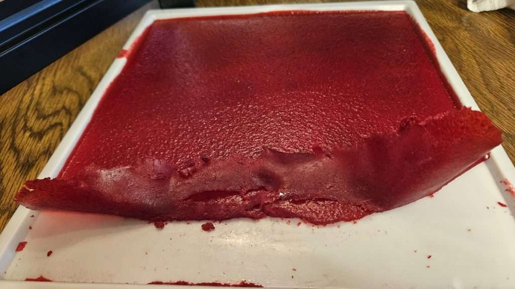 Due to thick spots, the cranberry fruit leather wasn't' dry in some spots.