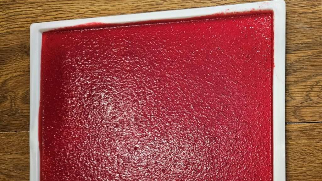 Cranberry fruit leather after it had been in the dehydrator for 10 hours.