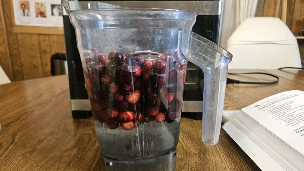 The ingredients for cranberry fruit leather in a blender from a front view.