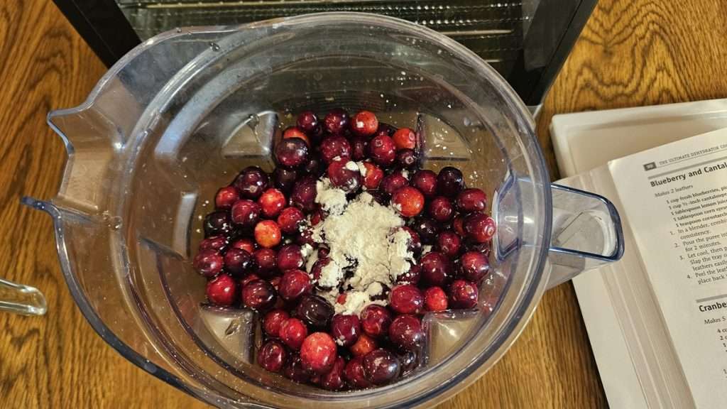 The ingredients for cranberry fruit leather in an overhead view.