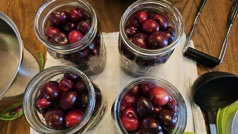 Canning Cherries the Easy Way