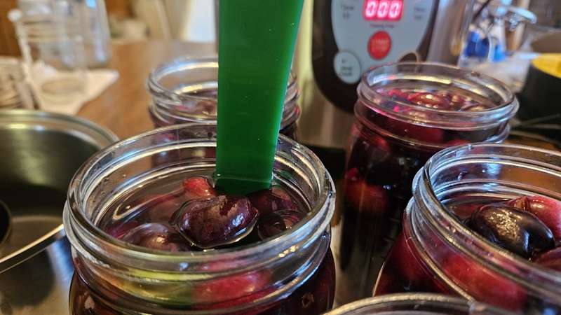 Tool inside jar releasing trapped air from between cherries