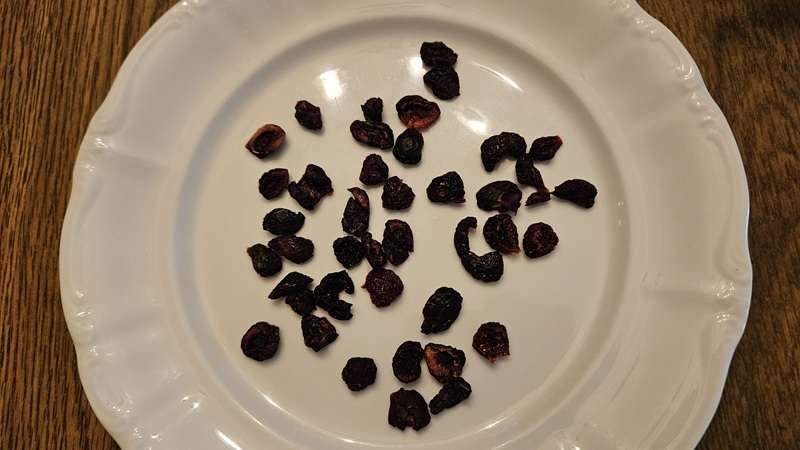 Fully dehydrated cherries cooling on a white plate. 