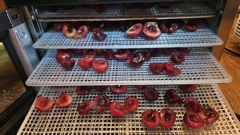 🍒 How to Dehydrate Cherries (Step-by-Step Guide with Photos)