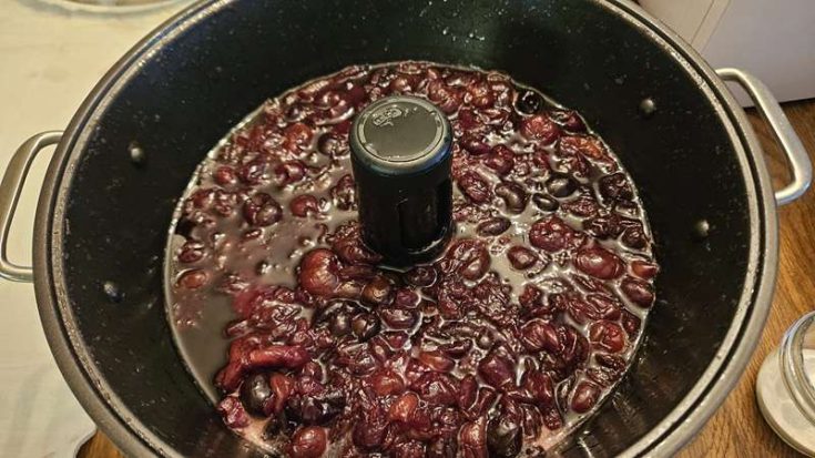 Cherry Jam in the Ball Jam and Jelly Maker
