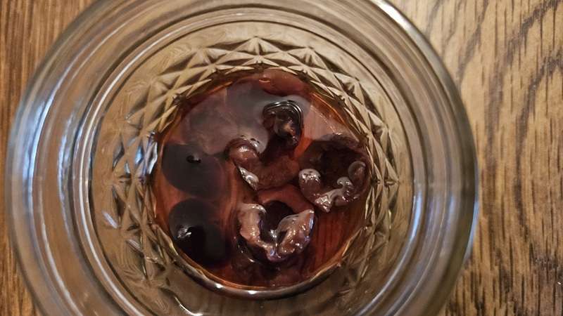 Dehydrated cherries rehydrating in water.