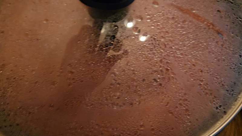 The lid on the jam maker steamed up.