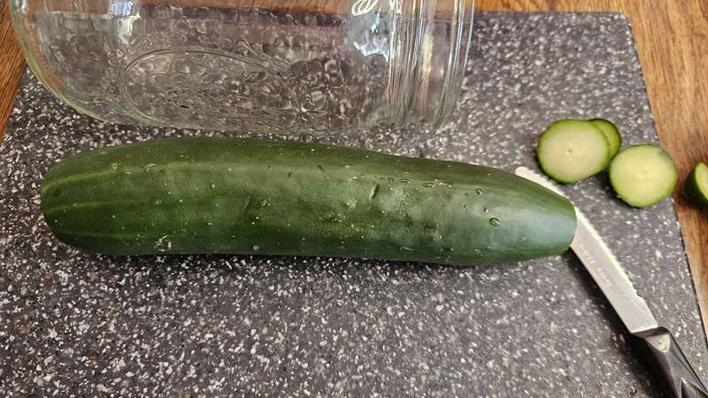 A cucumber laying next to a mason jar that is on the side. This was done so that the cucumber can be cut to the right size to fit into the jar.