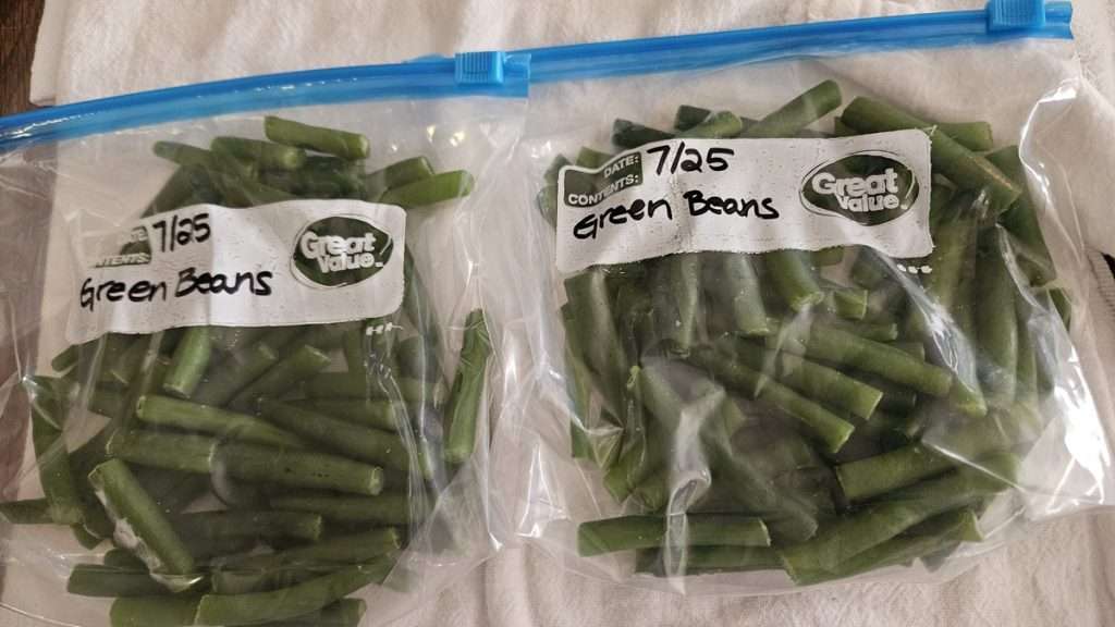 Freezer bags labeled and filled with frozen green beans