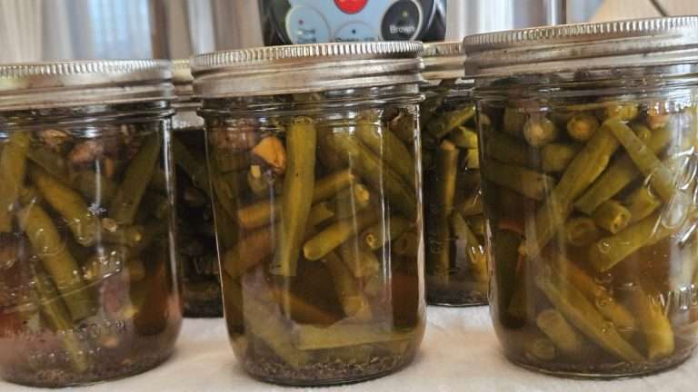 How to Can Green Beans and Mushrooms in the Nesco Canner