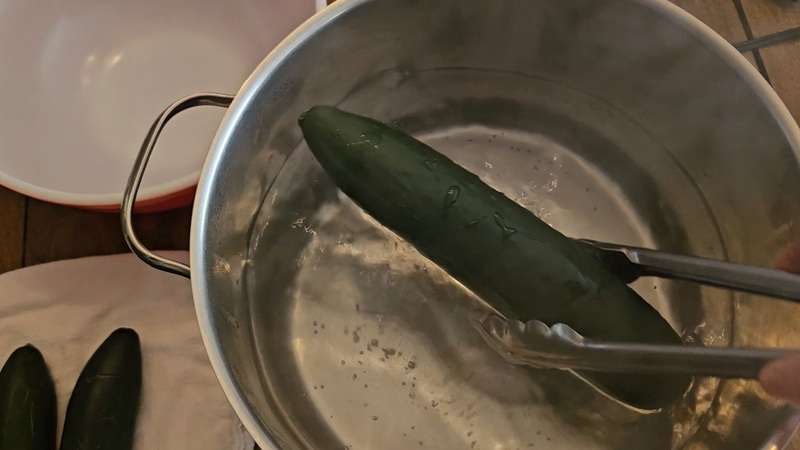 Using tongs to remove a cucumber from boiling water.