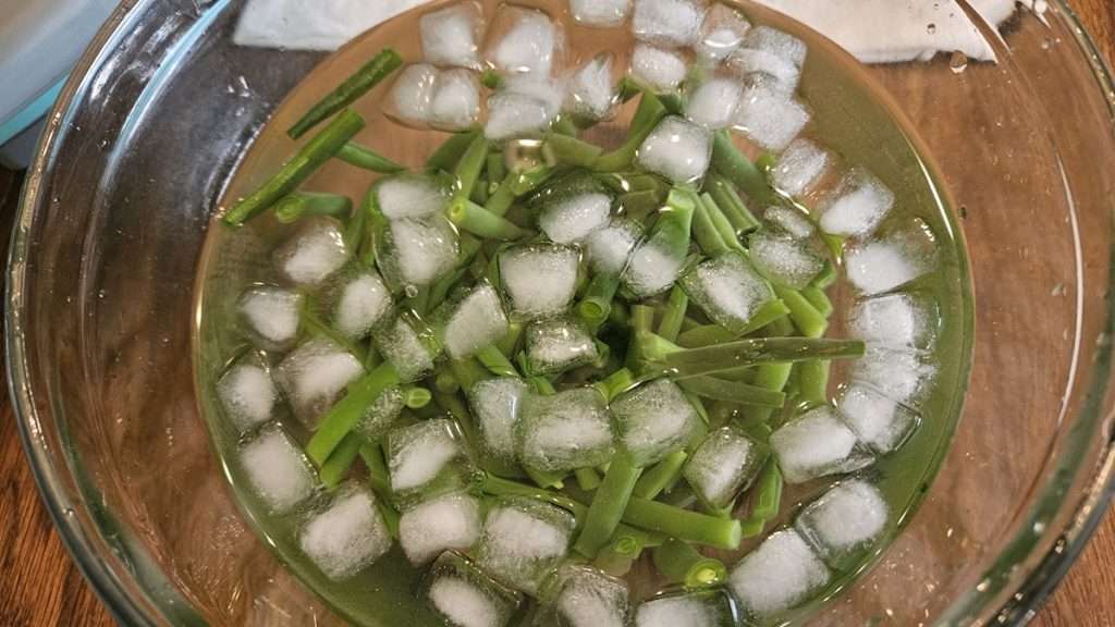 Blanched green beans cooling in a bowl of ice water