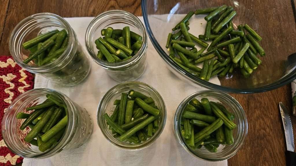 canning jars filled up to 1" headspace with green beans, with a bowl of leftover green beans that didn't fit into the jars.