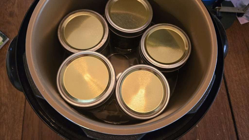 pint sized canning jars with lids and rings on inside of a Nesco canner.