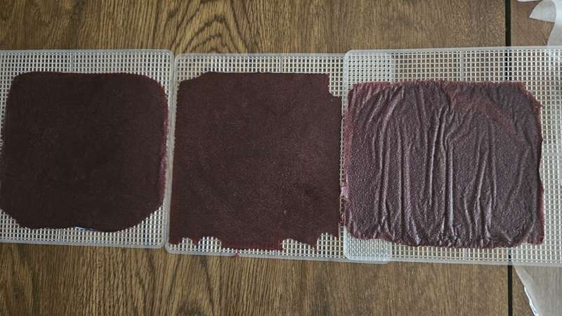 Cherry fruit leather that was prepared 3 different ways. On the left is fruit leather that was dried on a plastic bag, in the middle is fruit leather that was dried on a tray spread with oil, and on the right is fruit leather that was dried on parchment paper.