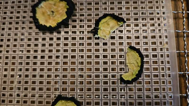 Dehydreated cucumber slices with one slice broken in half which indicated it was completely dehydrated.